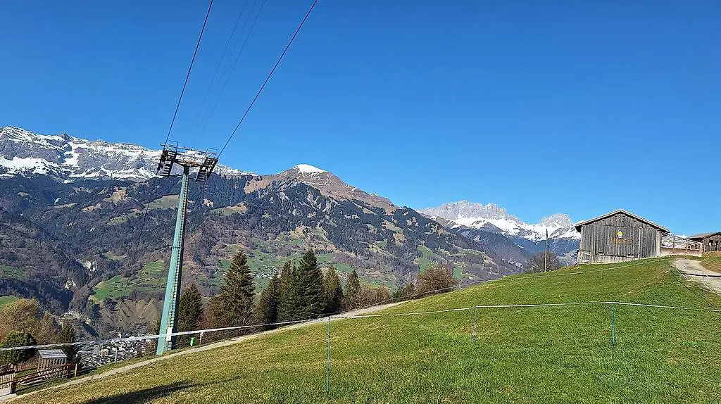 Sommerweide oder Pony/Pferd ans Futter