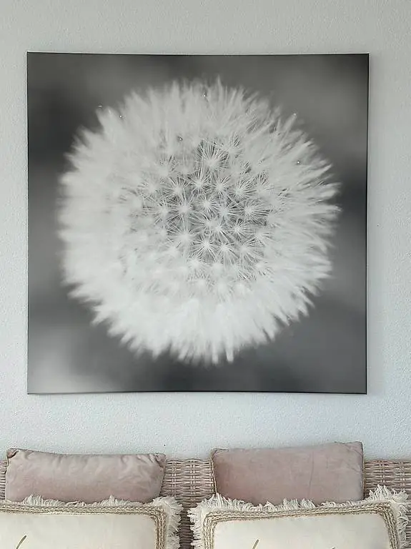 Leinwandbild Pusteblume 90x90 cm