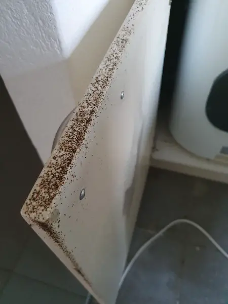 Bekämpfung von Schaben und Kakerlaken mit der Gel Methode.