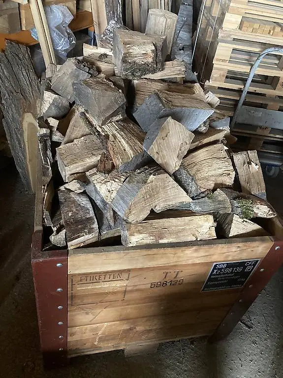 Trockenes Eichenbrennholz