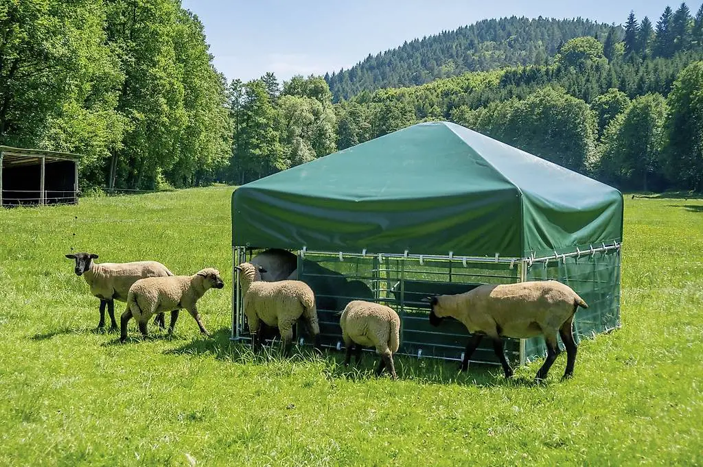 Steckfix-Zelt inkl. Horden und Dach für Schafe und Ziegen