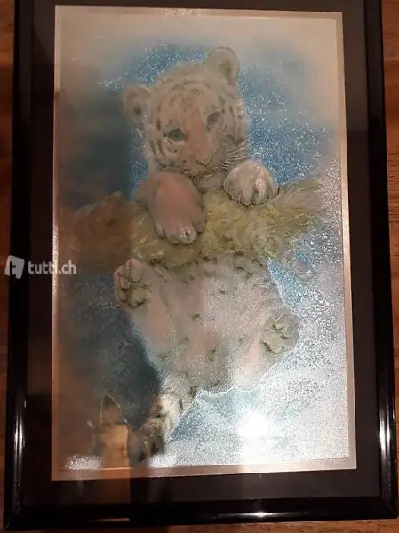 Bild mit kleinem weissem Tiger