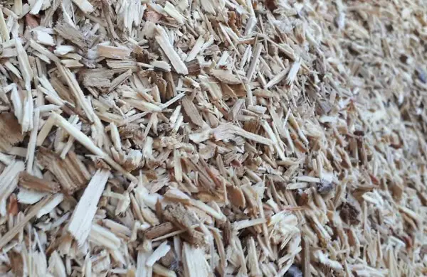  Brennschnitzel -Aktion Feinschnitzel