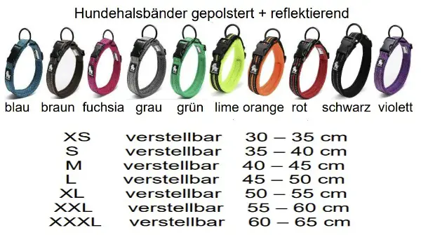 Hundehalsband M 40 - 45 cm div Farben Gratis Versand