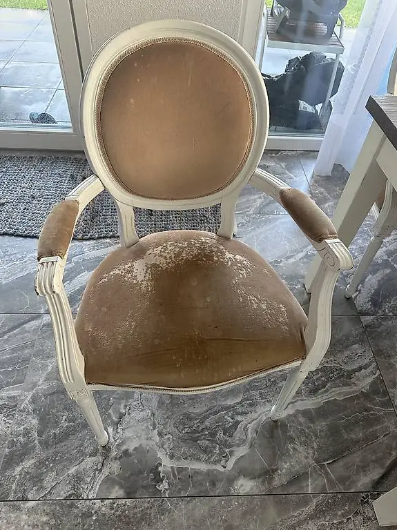 Barock Stühle 6 Stück