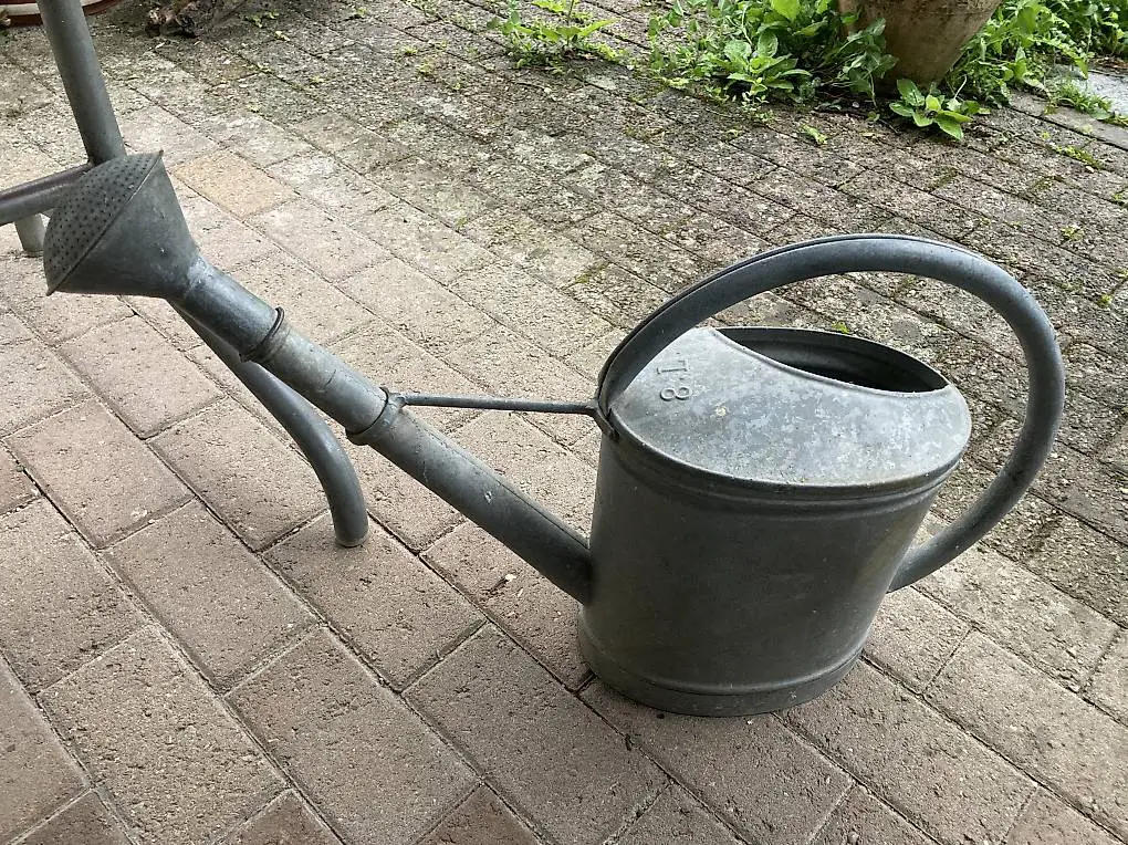 Giesskanne verzinkt mit Brause
