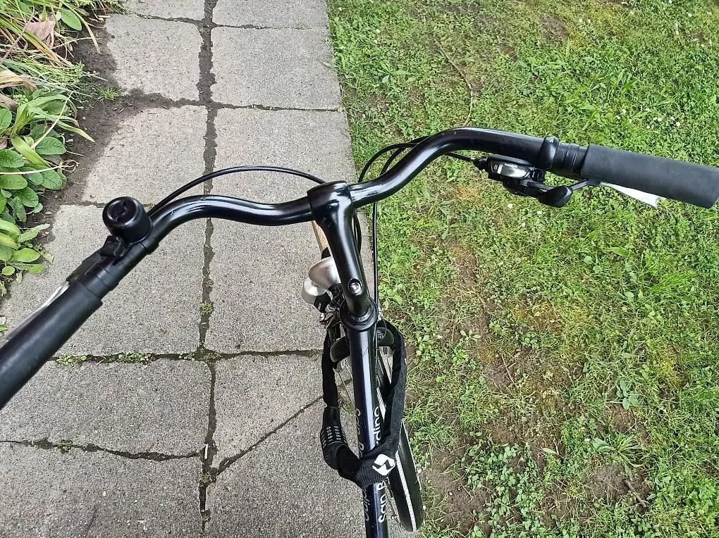 Stadtfahrrad Damen mit Korb