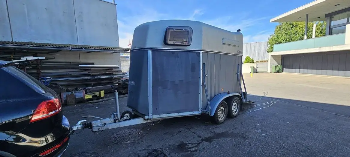 Pferdeanhänger Böckmann Duo zu verkaufen