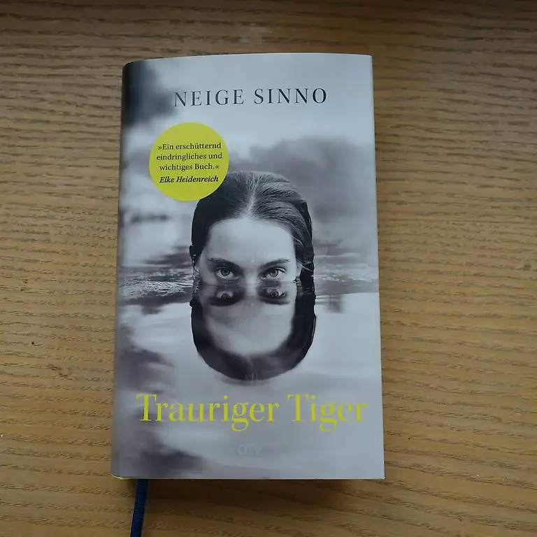 Trauriger Tiger (Neige Sinno) Bestseller fest. Einband