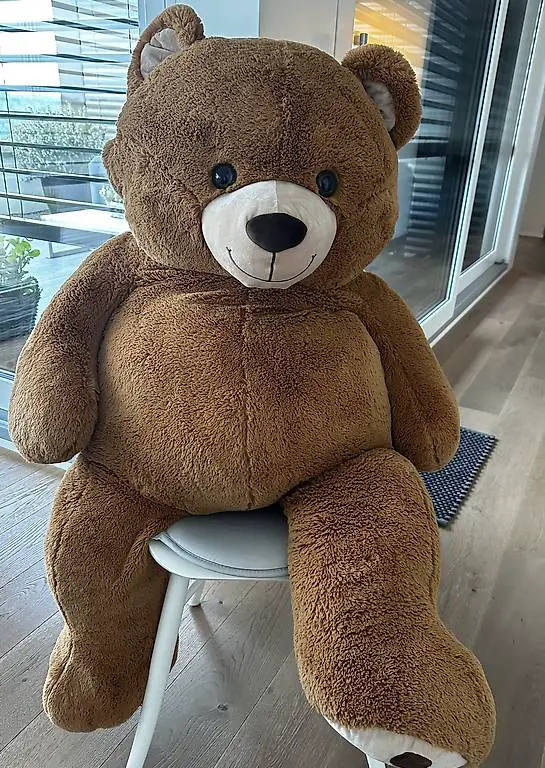 Teddybär XL