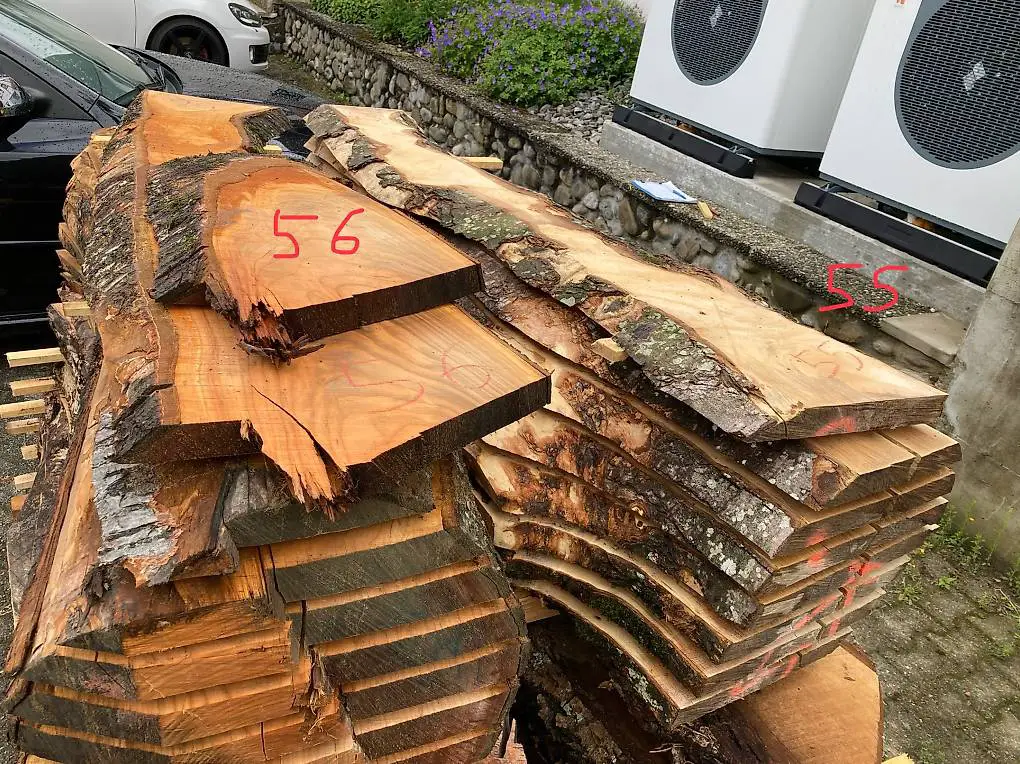 Kirschbaum Nr 56 krumm