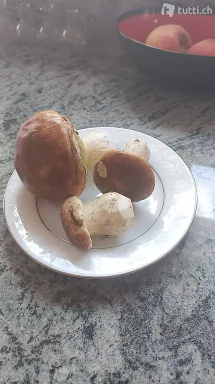 Privatkoch für Ihren Anlass 2-30 Personen