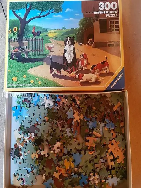 Puzzle
