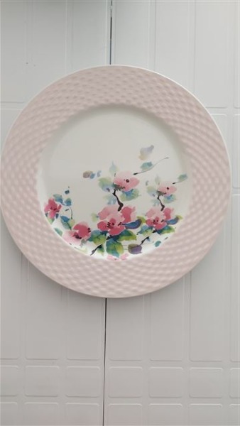 10 FlachTeller von Pagnossin Ironstone, Italy, Microwave save