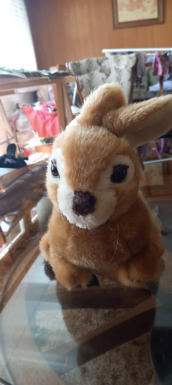 Plüschtier Hase