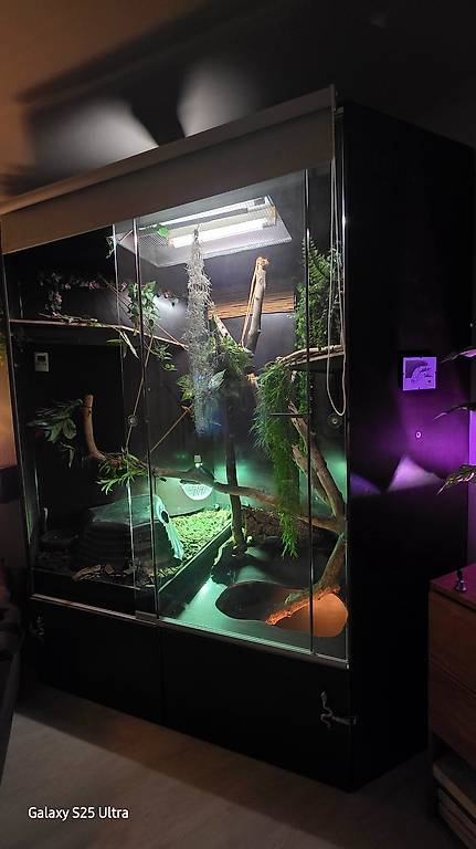 Riesiges Schlangen Eck-Terrarium 2.20 × 2.20 × 1.40 cm