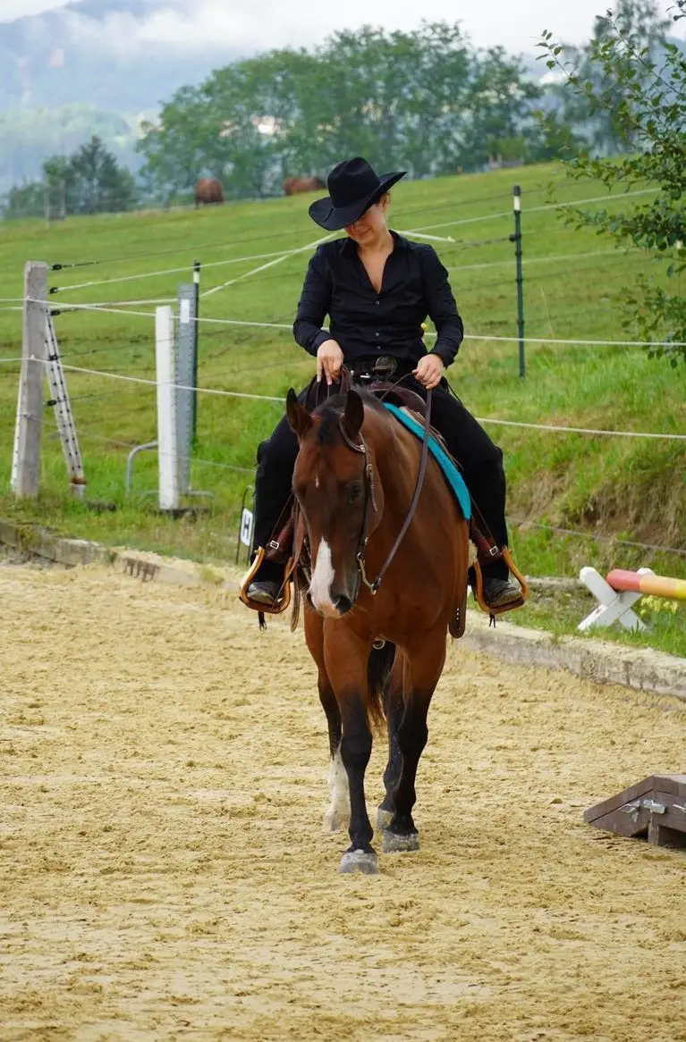 Quarter Horse Wallach für den anspruchsvollen Freizeitreiter