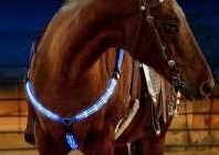 LED Vorgeschirr zu verkaufen, rot