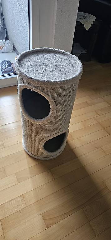 Katzenzubehör für Kitten: Kratztonne, Zelt & Futter