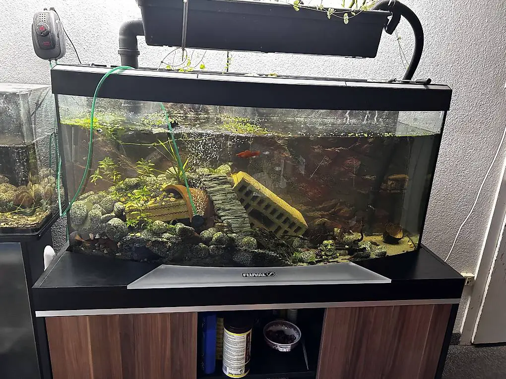 Aquarium Fluval RESERVIERT