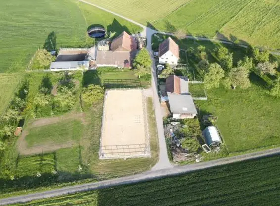 Praktikum auf Zucht und Reitschulbetrieb