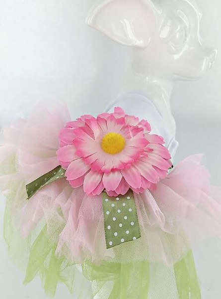  F+M Rock FLOWER für chihuahua Gr.M