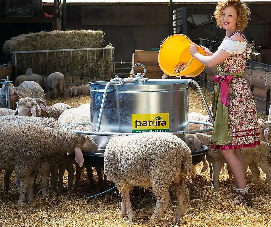 Rundfutterautomat für Lämmer