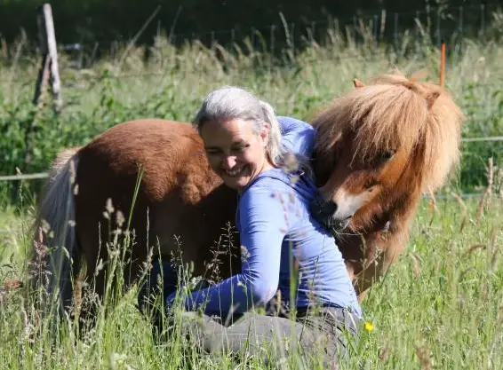 Pflegeshetty mit fachkundiger Pferdewissensvermittlung über Dressur