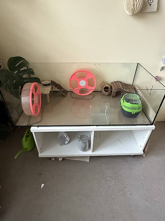 Terrarium für Nagetiere