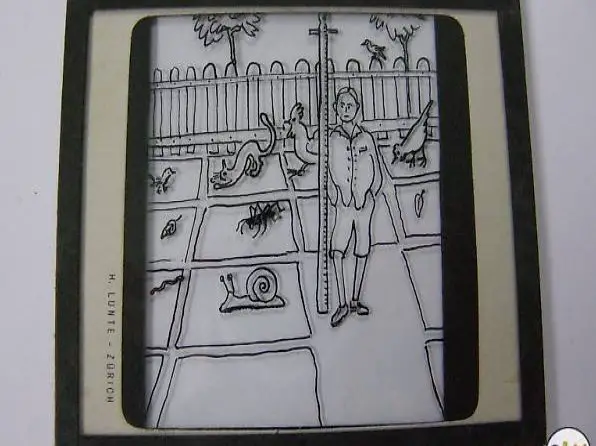 Antike Fotoglasplatten 225