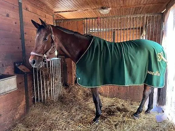 PATURA Wandraufe Variabel - für loses Futter