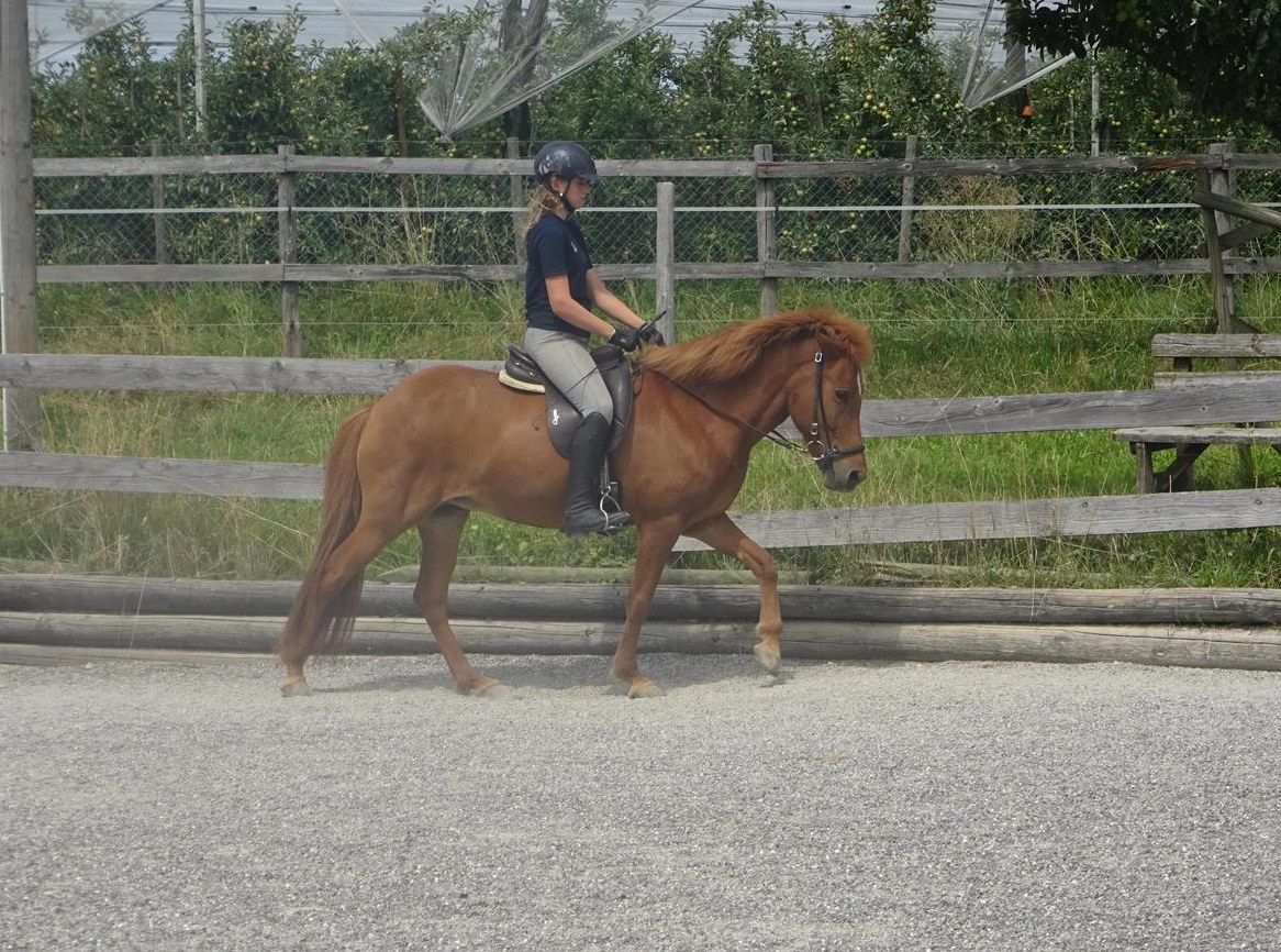 Yoga und Reiten mit Sonja Waggershauser & Eva Hannak