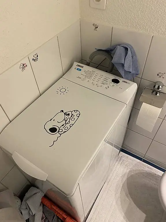 Zanussi Waschmaschine Toplader