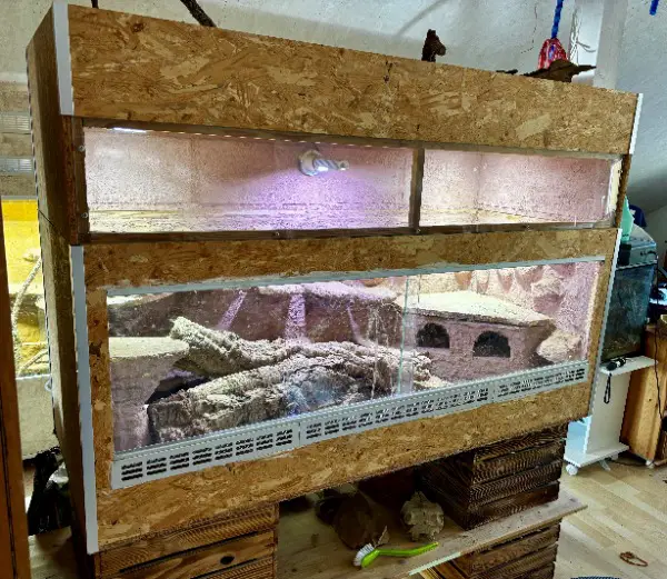 Terrarium für Bartagamen