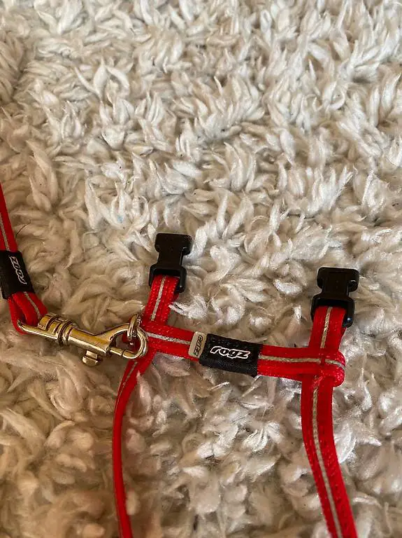 Katzenleine für Kitten