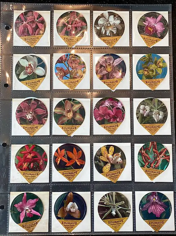 Kaffeerahmdeckeli Orchideen Serie 18