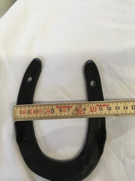 Hufeisen Glücksbringer