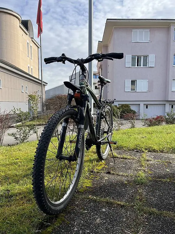 Herren Velo von Felt