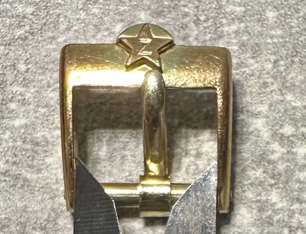 Zenith Dornschliesse 10mm plaque