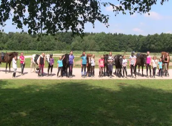 Wulfenhof | Urlaub mit und rund um das Islandpferd