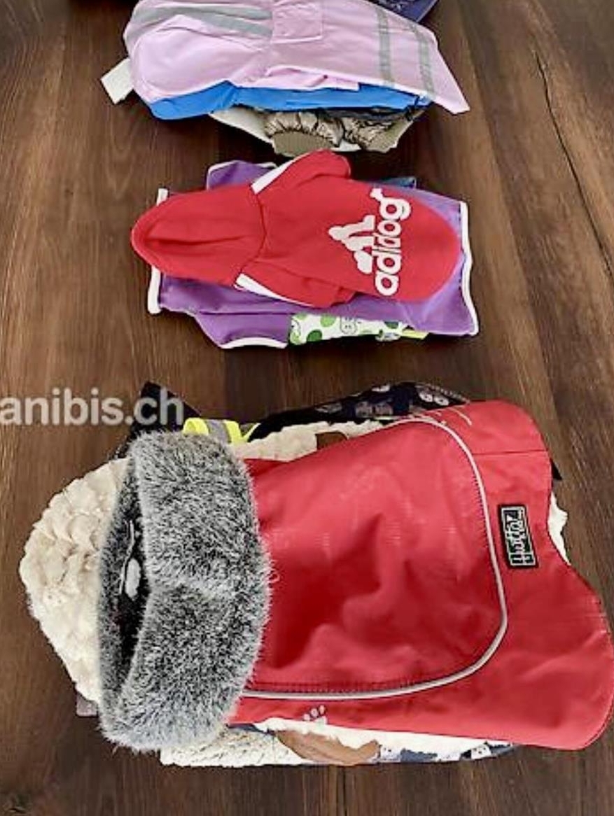 Hundekleider, Hundejacken, Hundepullover für kleine Hunde