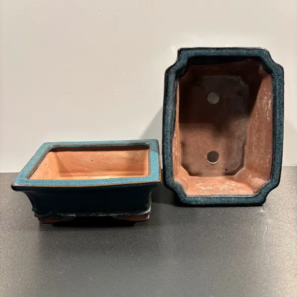 edle schale topf gefäss pflanze kaktee bonsai dekoration balkon