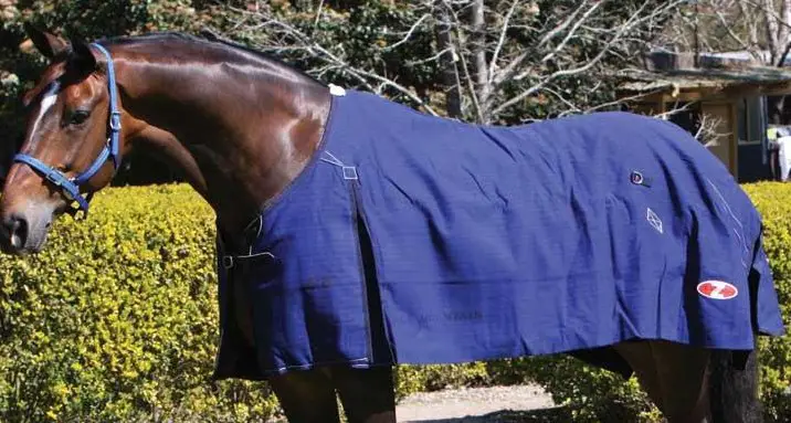 Pferdedecke BLUE MOUNTAIN | aus Canvas original ZILCO