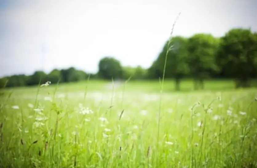 Reitanlage zu pachten gesucht, ganze SCHWEIZ und grenznah