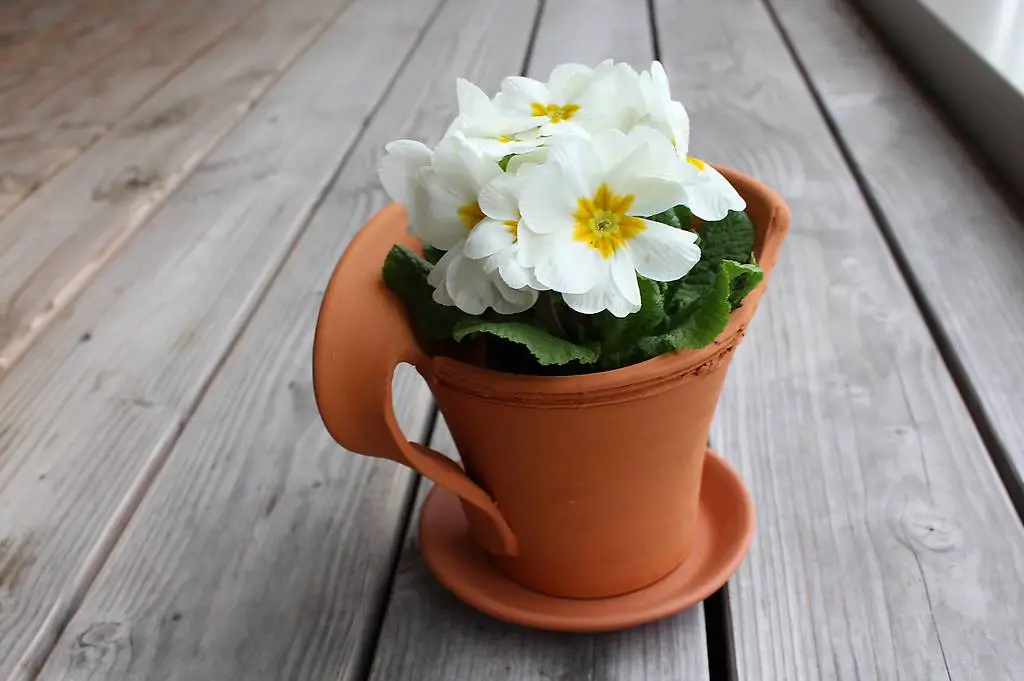 Gartentopf/Blumentopf/Tontopf inkl. Untersetzer