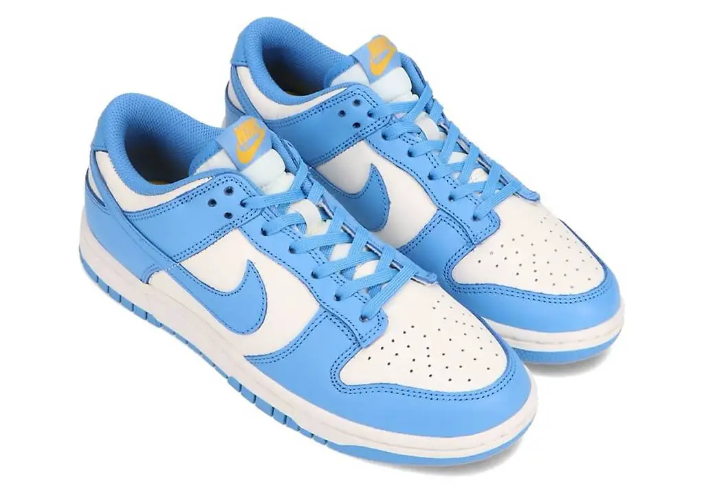 Nike Dunk Low Coast UNC