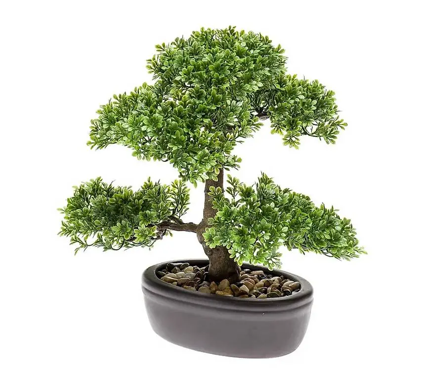 Kunstpflanze Bonsai Mini-Ficus Grün 32 cm 420002