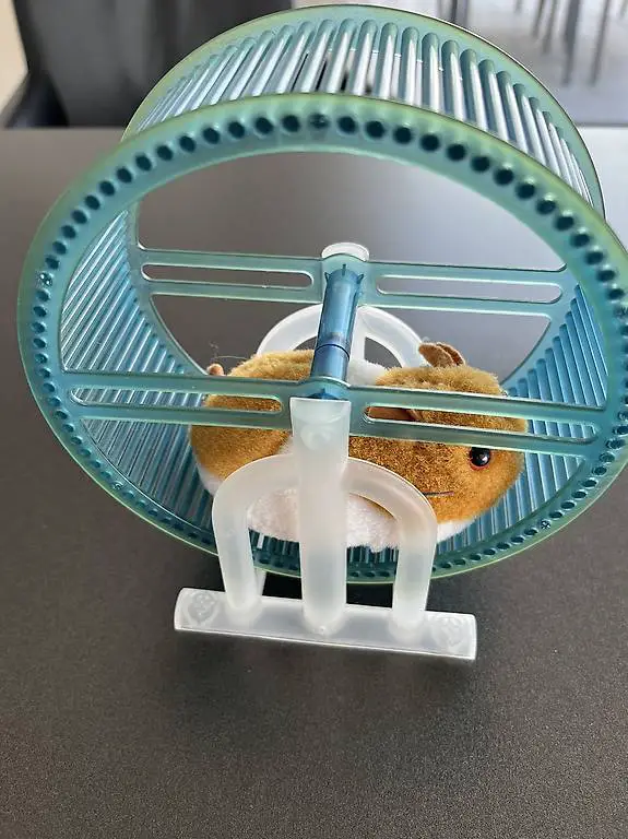 Hamster Rad