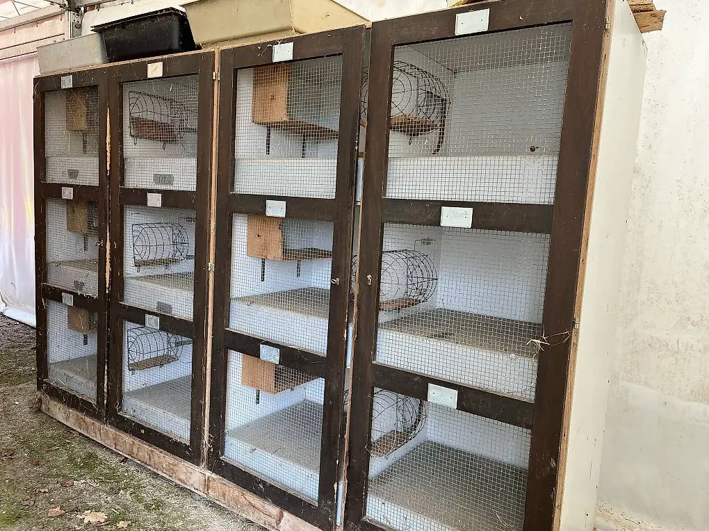 Kaninchenstall 2 x 6er / 1 x 4er