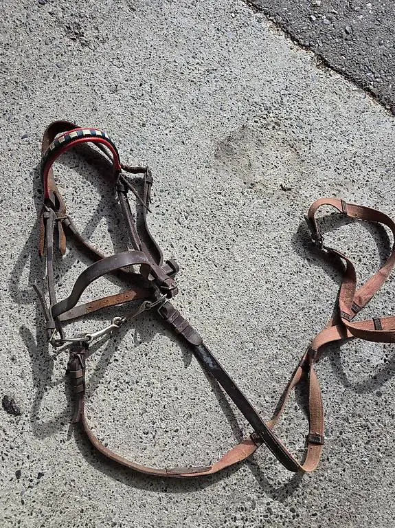 Altes Ponyzaumzeug